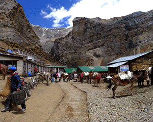 Annapurna Circuit Trekking Video
