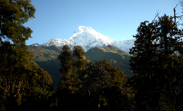 Ghorepani ABC Trekking