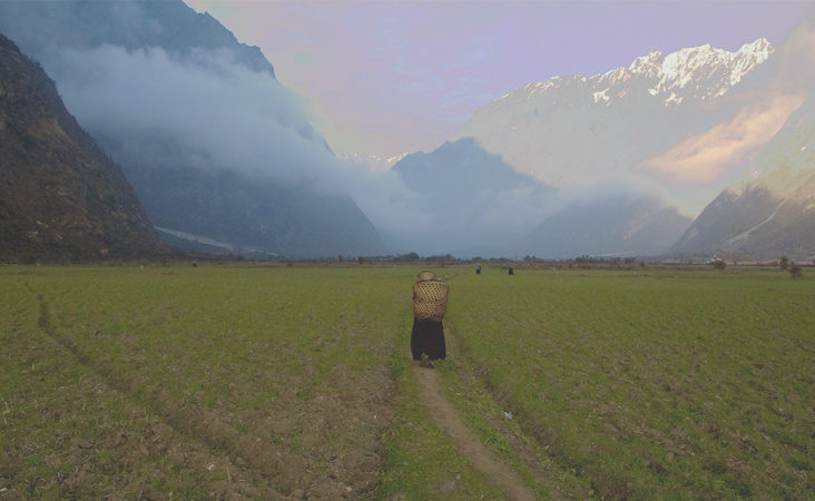 Manaslu Tsum Valley Circuit Trek