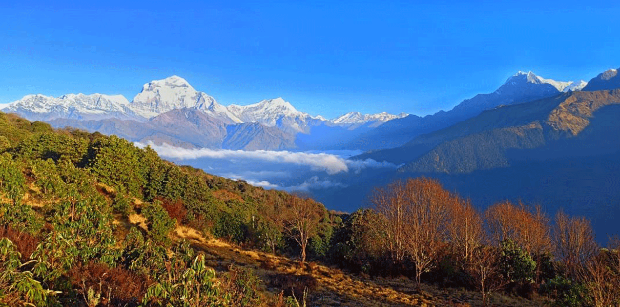 Poon hill trek