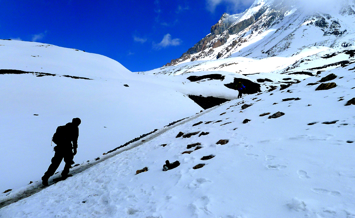 Thorong La Pass Trek