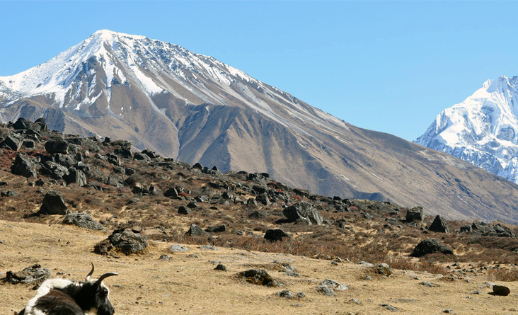 Ganja la Pass Trekking