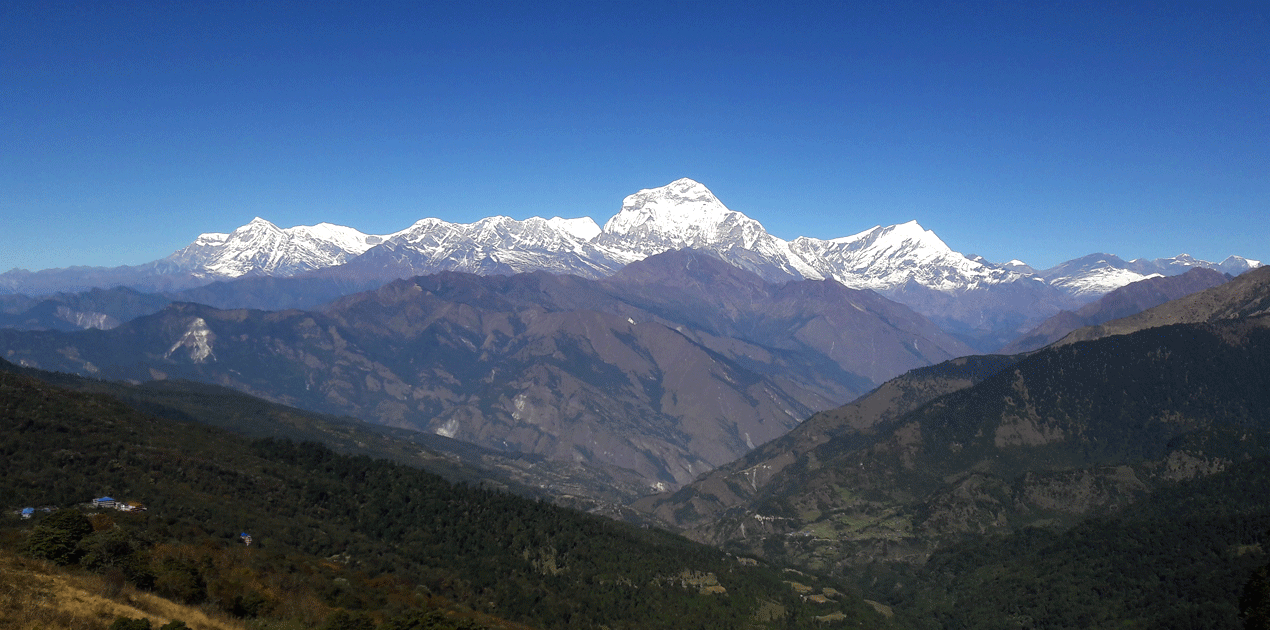 Porter guide from pokhara