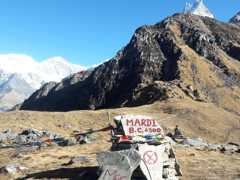 Mardi Base Camp 