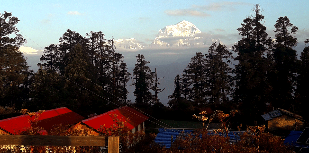 Community house in Mohare danda