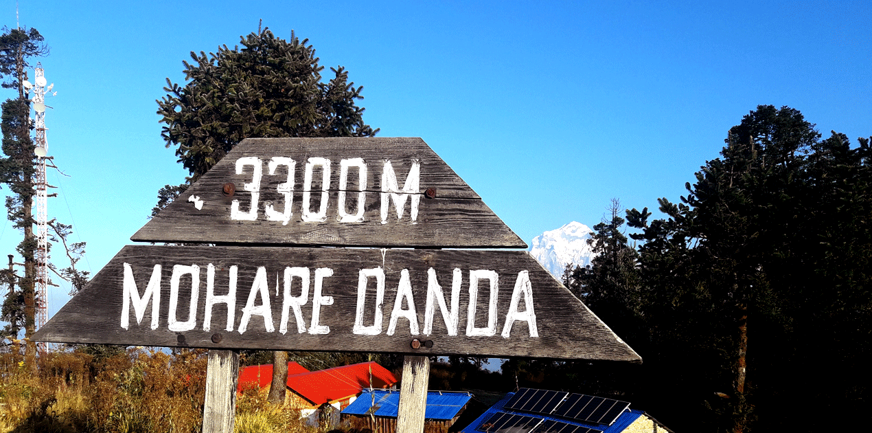 Mohare danda is 3300 m