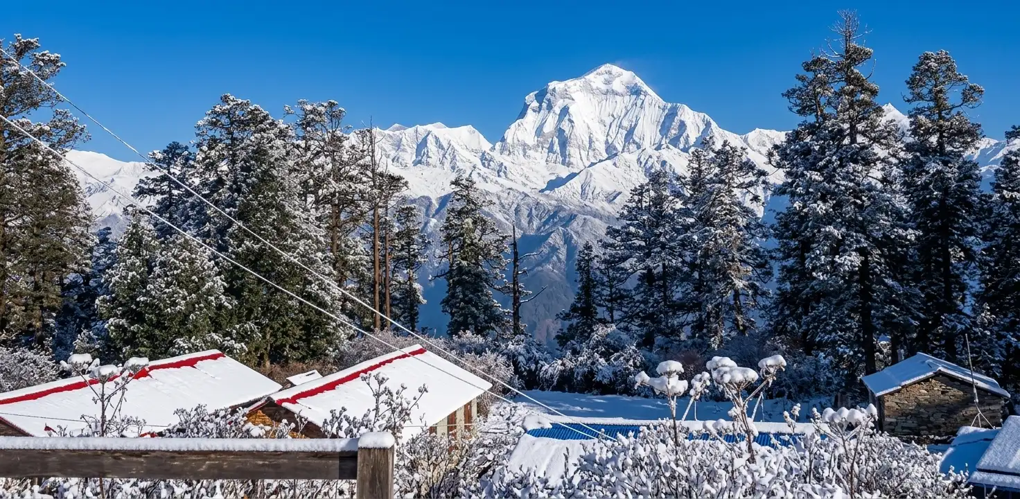 Mohare Danda Trek