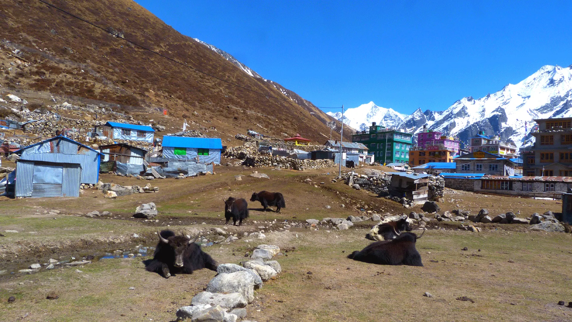 kyanjing gompa 