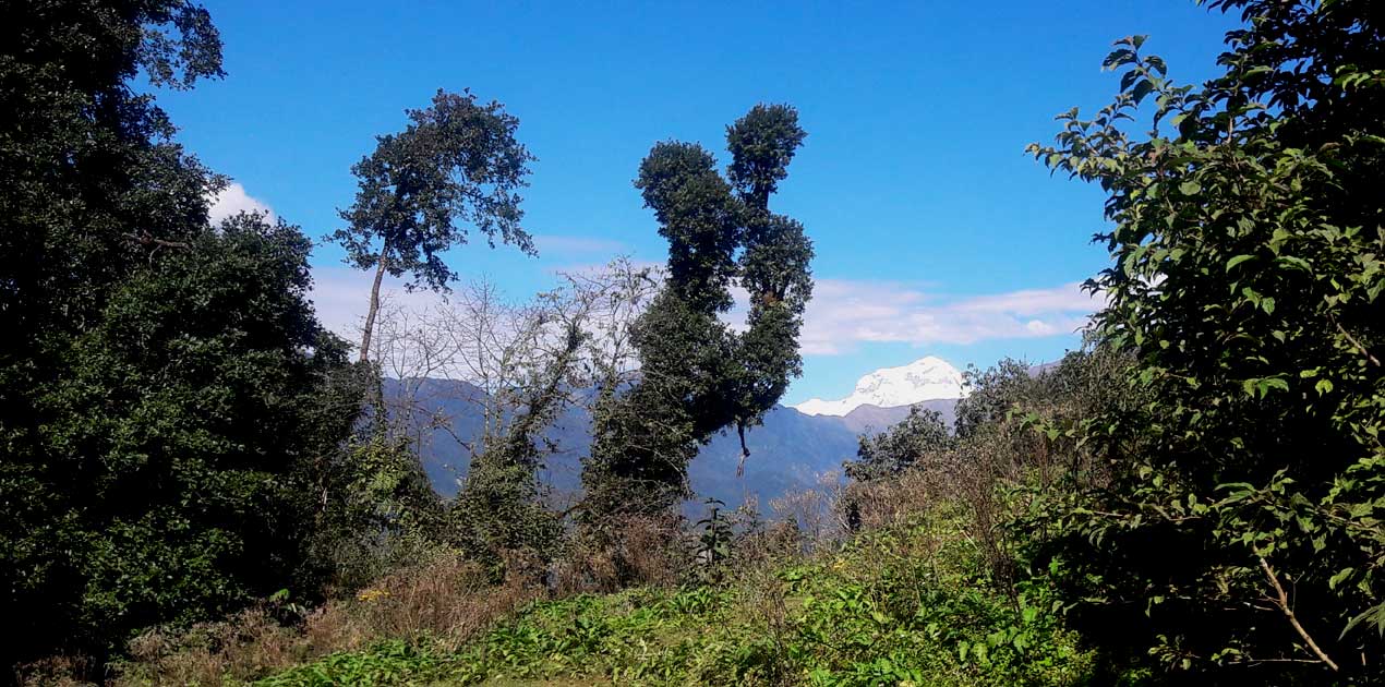 Dhaulagiri himal