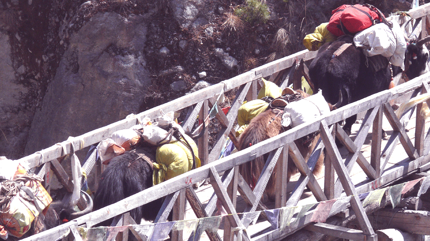 wooden bridge