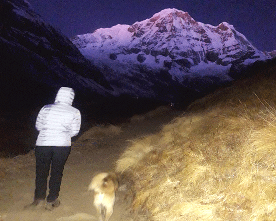 Machhapuchre base camp