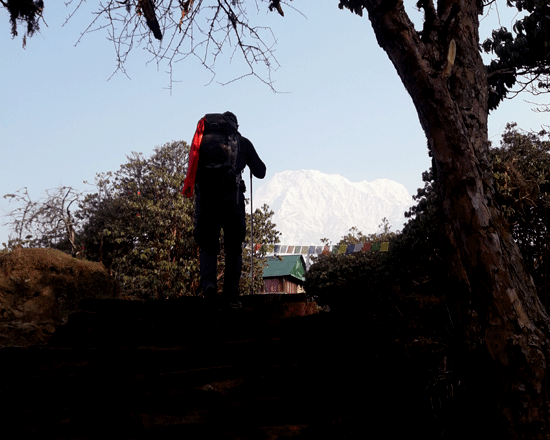 Annapurna North base camp trek