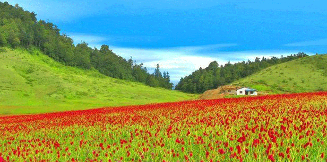 Khaptad national park views