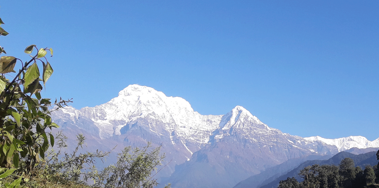 Kumai danda trek