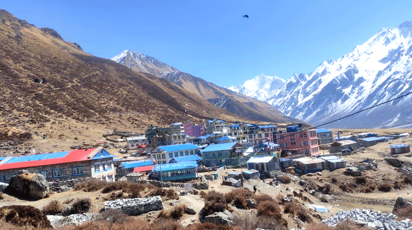 Kyanjin-gompa Kyanjin gompa