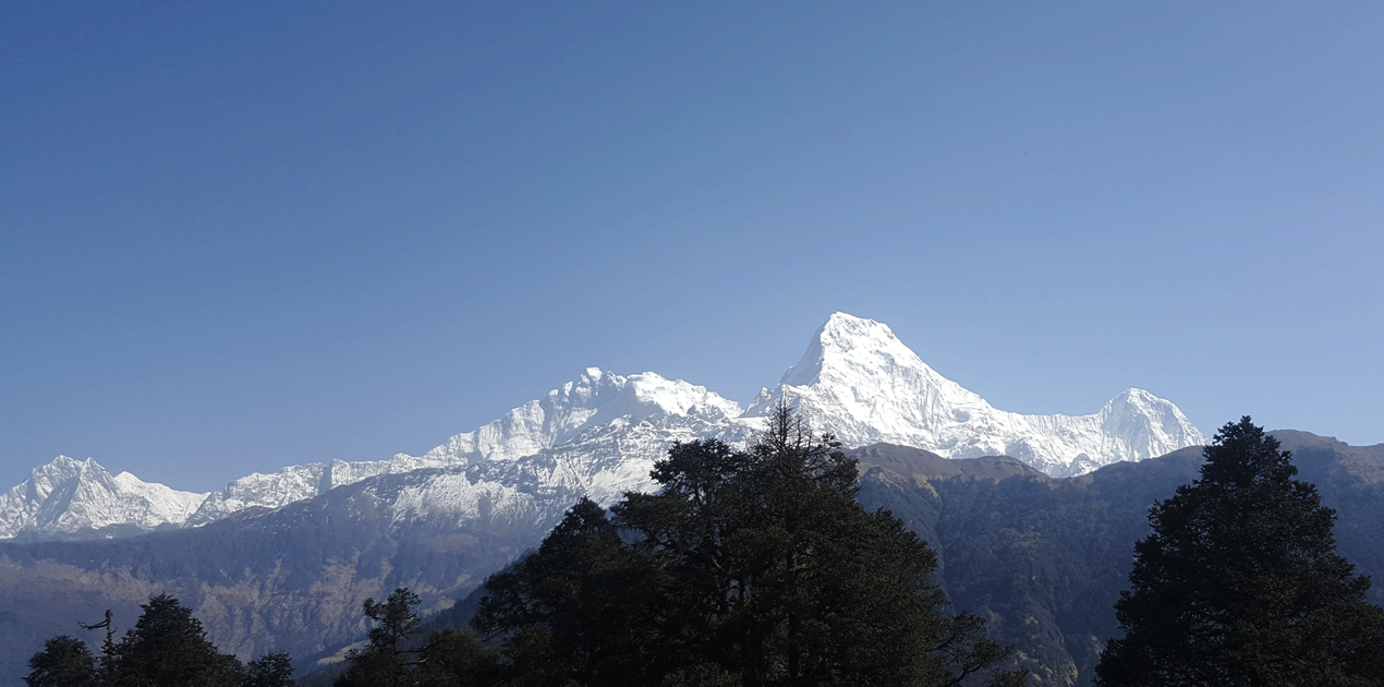kokhe danda treks