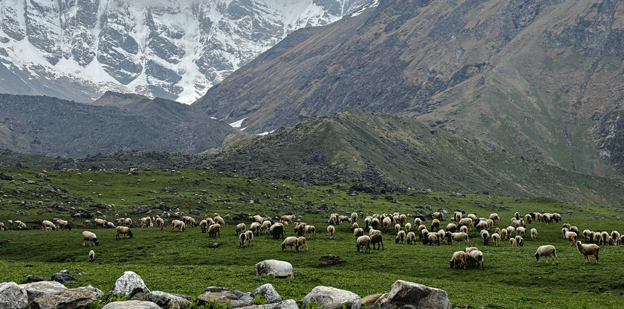 Api Himal Base camp