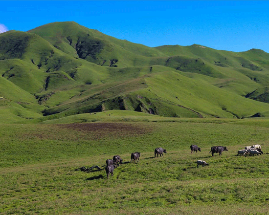 Badimalika trek