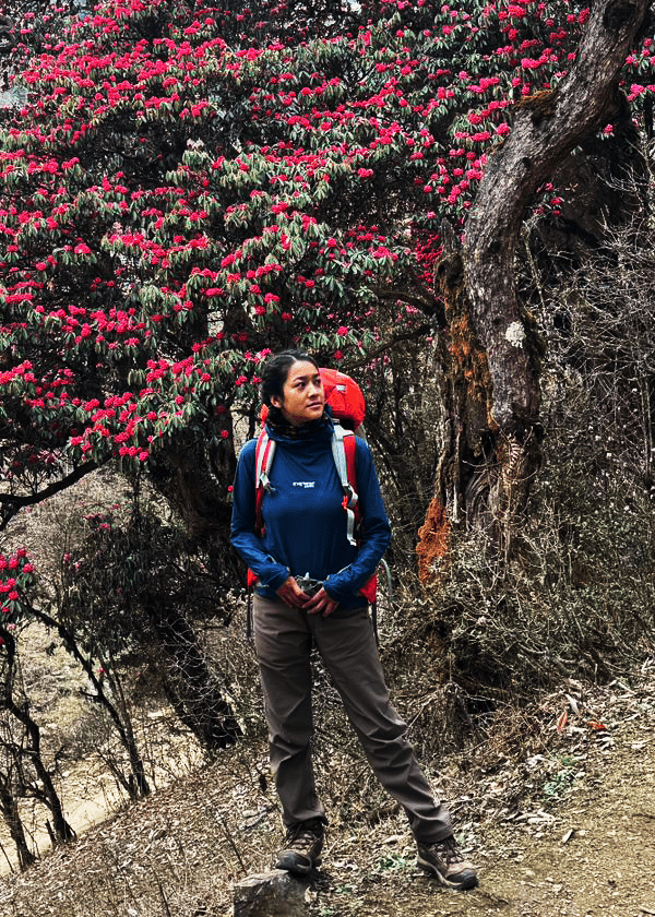 Pabitra Tamang image 