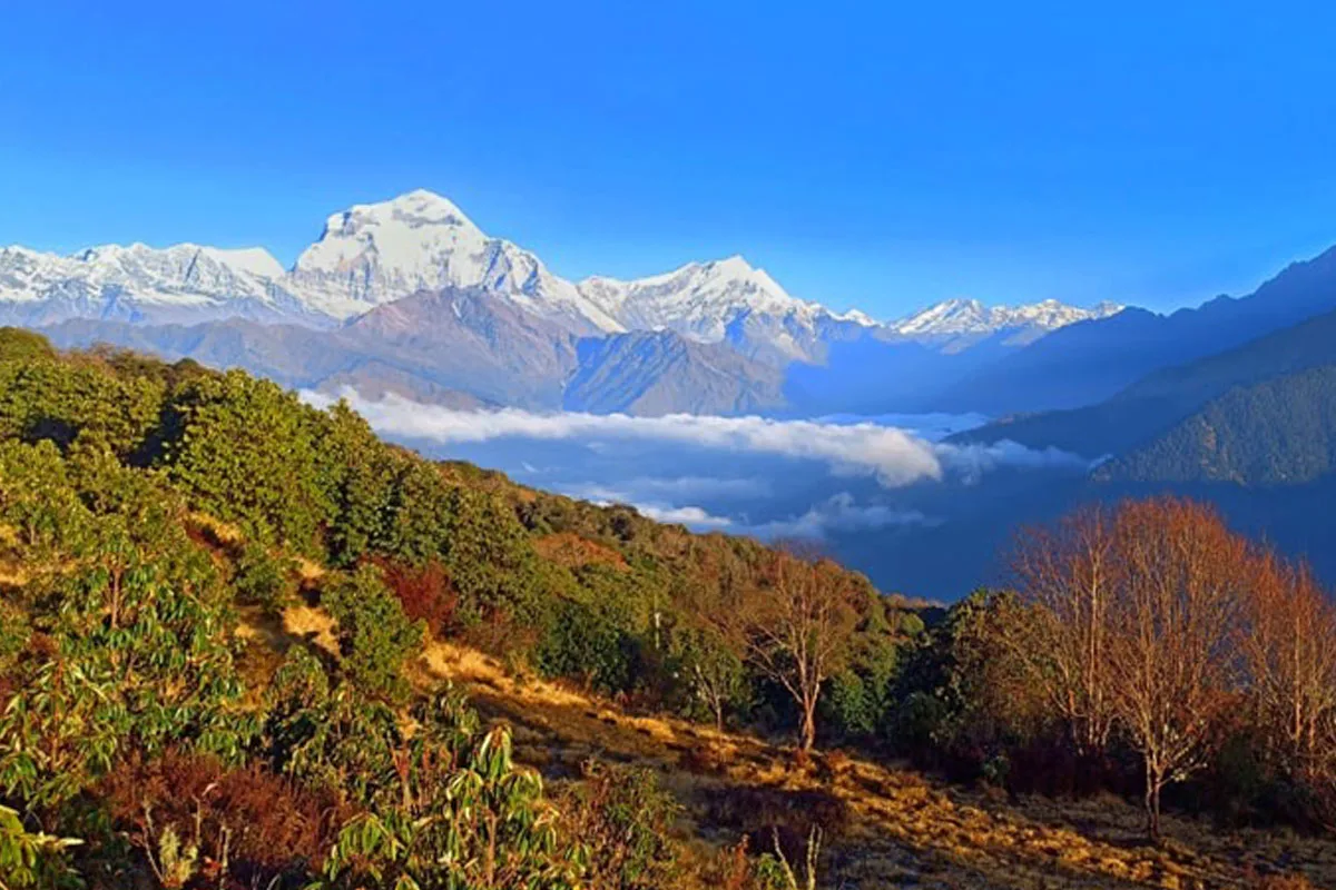 Best Time for Poon Hill Trek